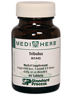 Tribulus 40 tablets