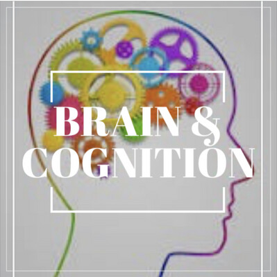 Brain &amp; Cognition