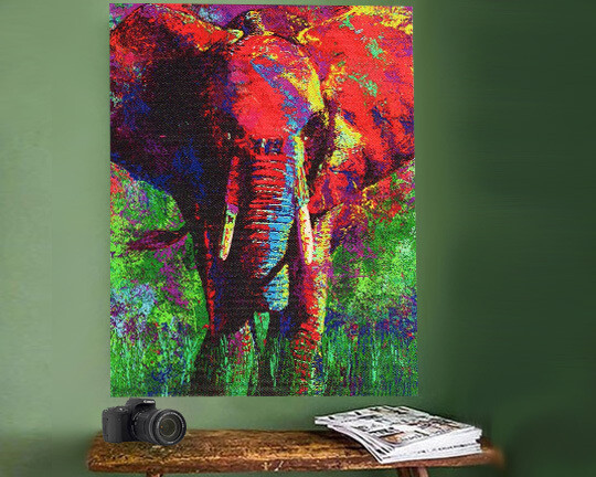 African Elephant