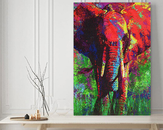 African Elephant
