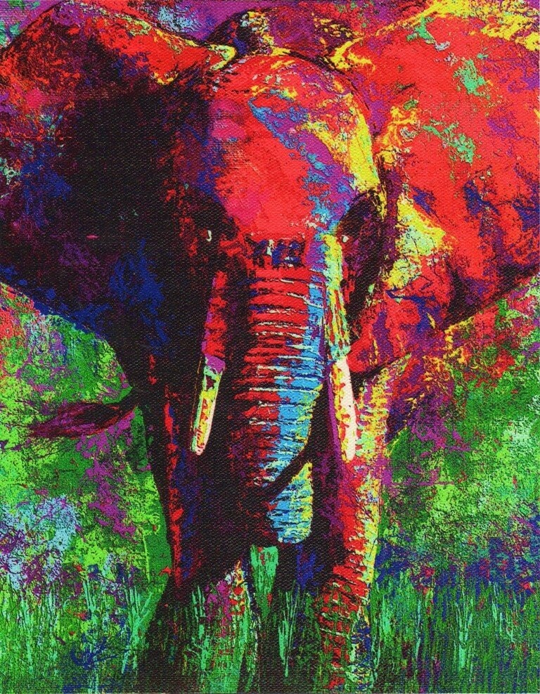 African Elephant