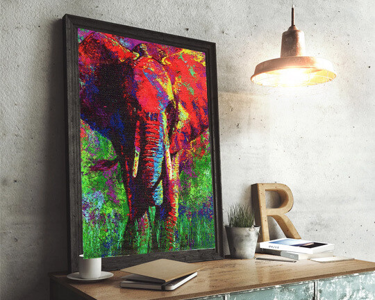 African Elephant