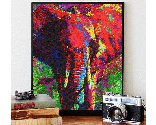 African Elephant