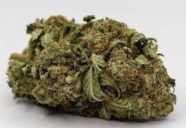 Pre-98 Bubba Kush