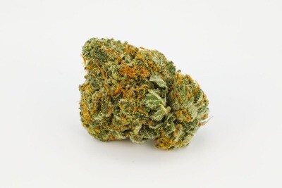 The Lizard by Bubba kings
