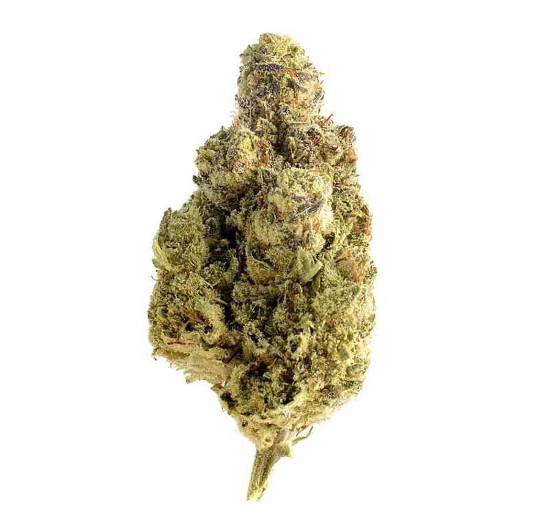 Og Kush