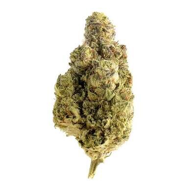 Og Kush