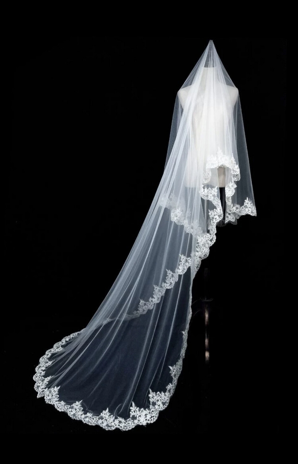 Lace Trim Veil