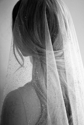 Fine Glitter Cathedral Veil