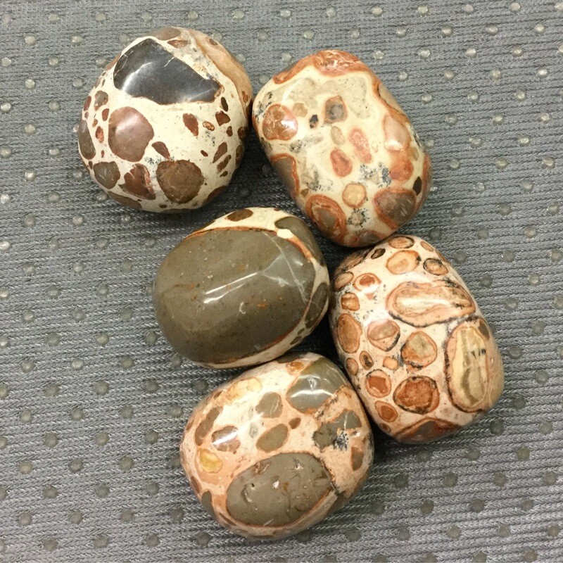 Leopardite Tumbled