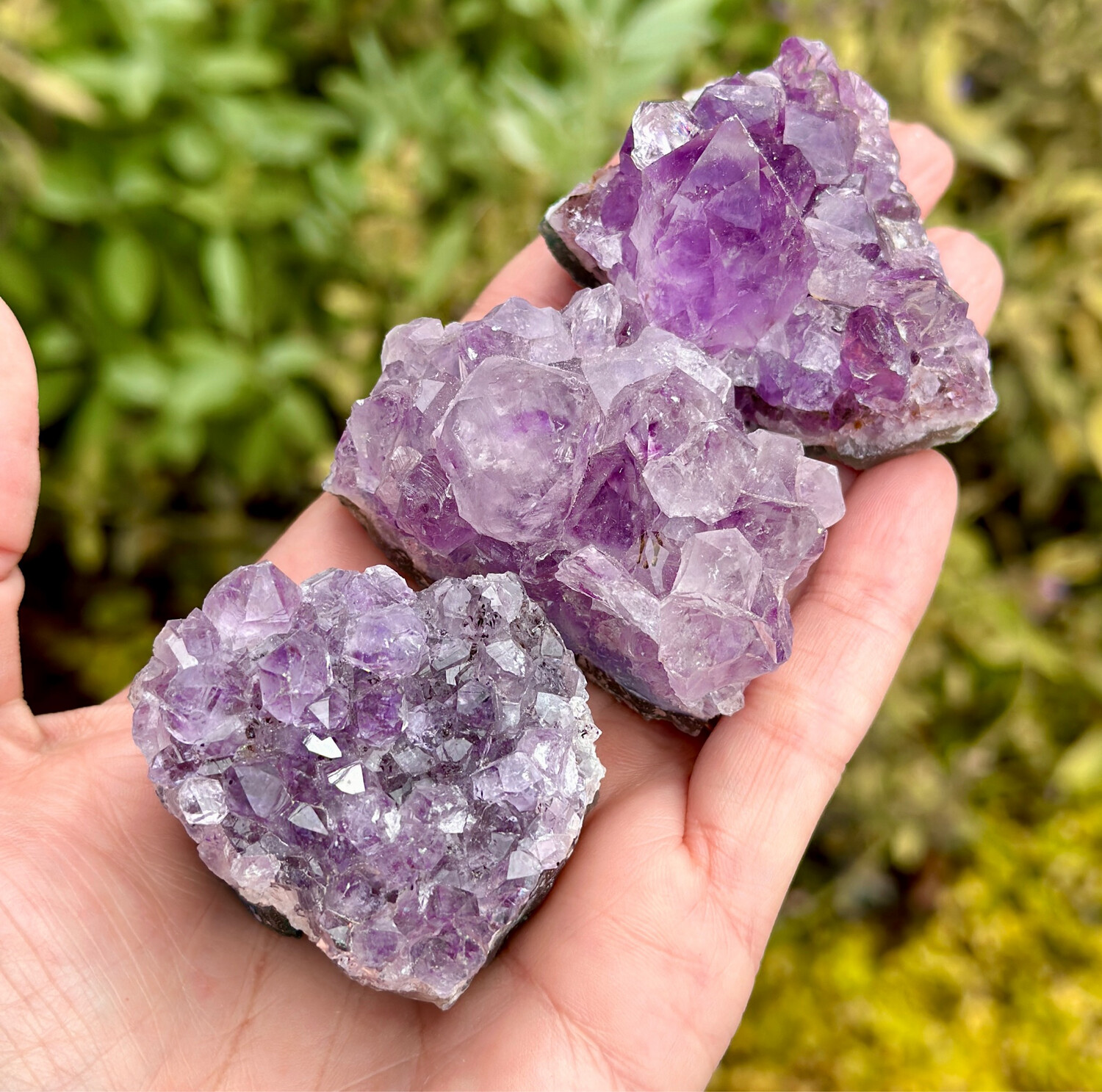 Amethyst, Clusters, Natural
