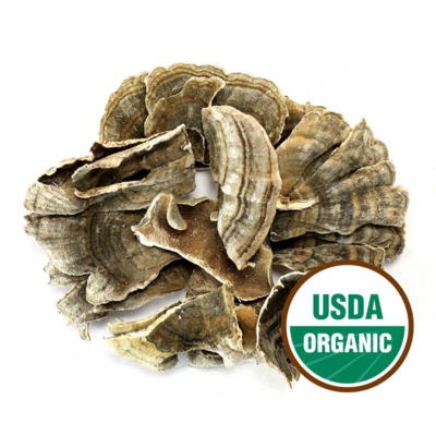 Turkey Tail Mushroom, Organic