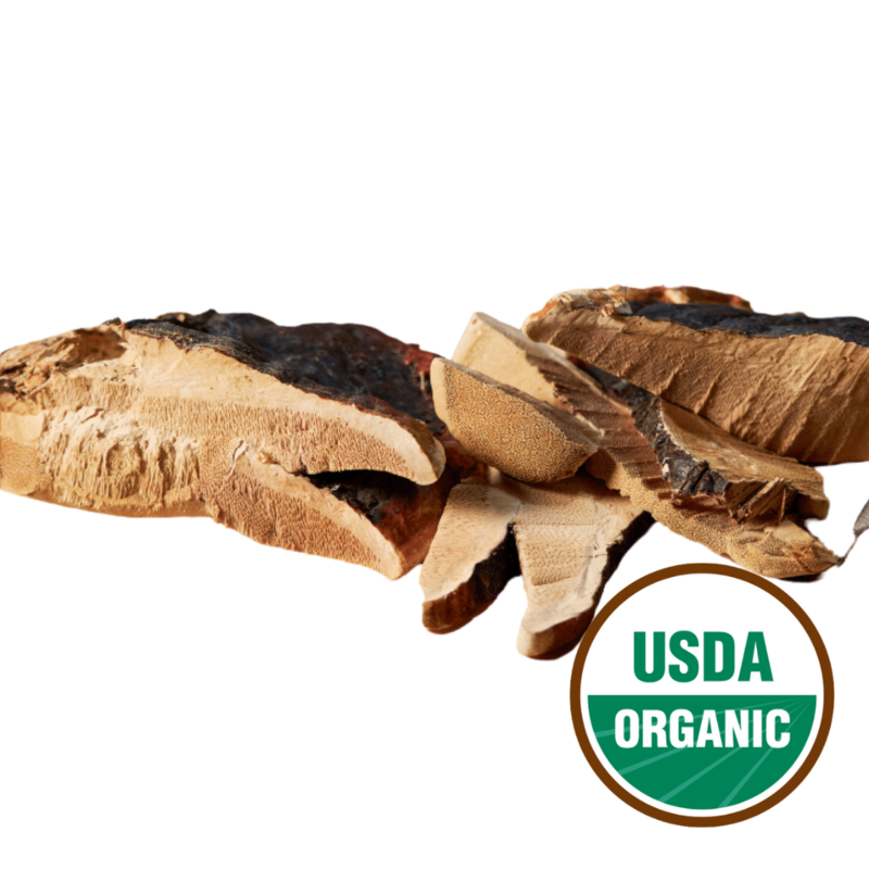 Reishi Mushroom, Organic