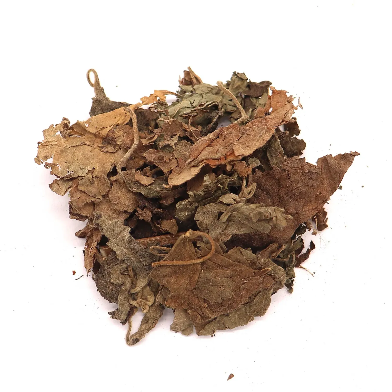 Patchouli Leaf