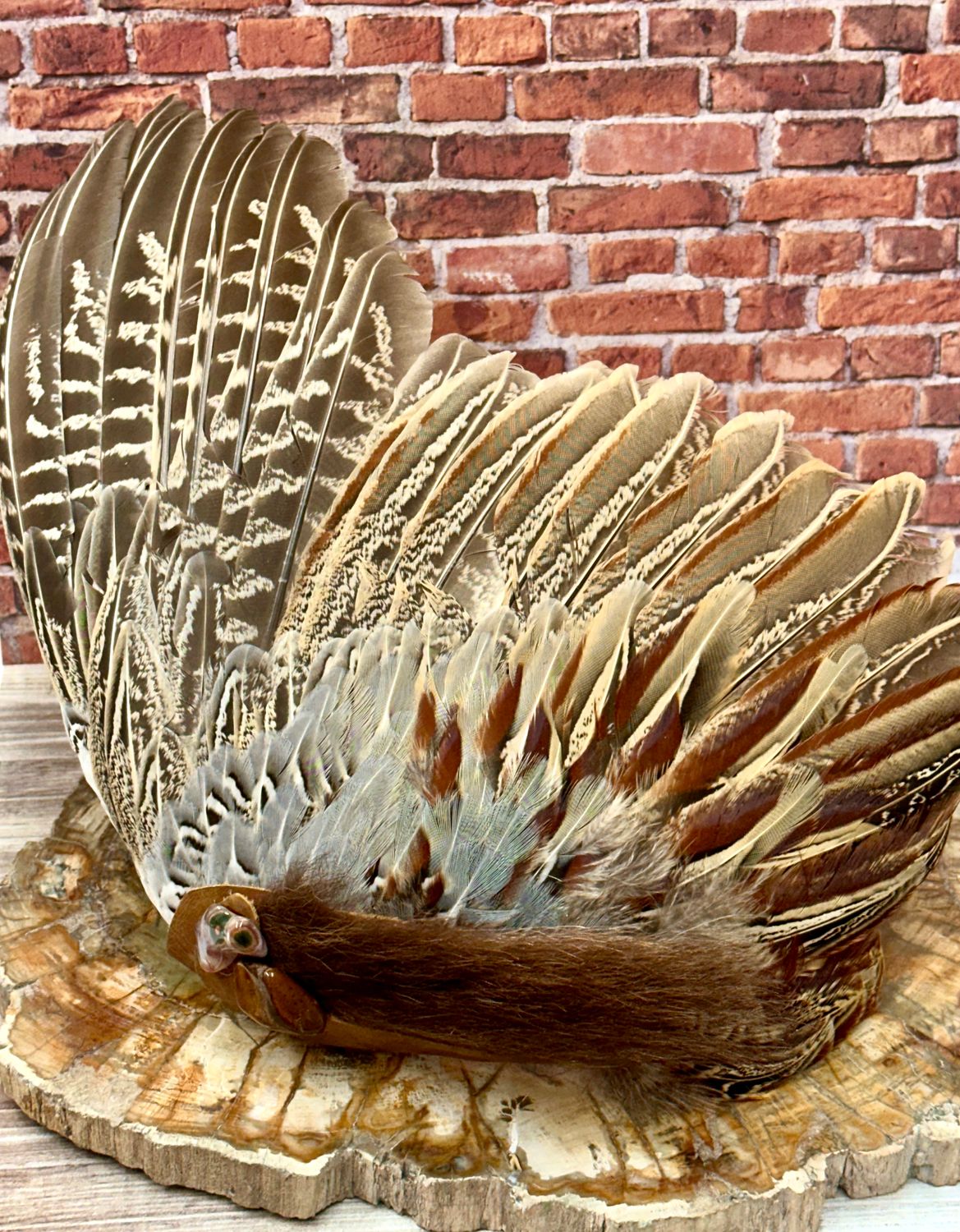 Anima, Pheasant Medicine Fan