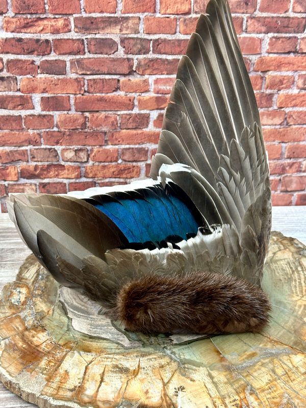 Lineage, Mallard Medicine Fan