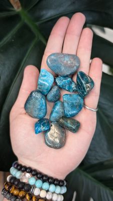 Apatite, Blue, Small Tumbled