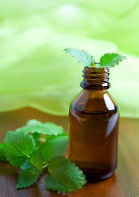Peppermint, Essential Oil