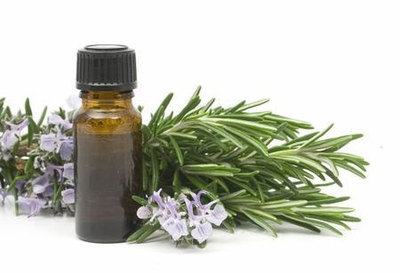 Rosemary, Essential Oil