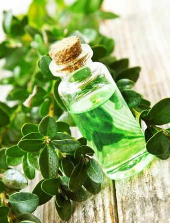 Tea Tree, Essential Oil