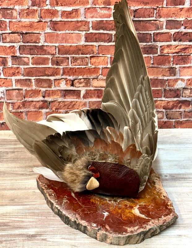 Simplicity, Mallard Medicine Fan