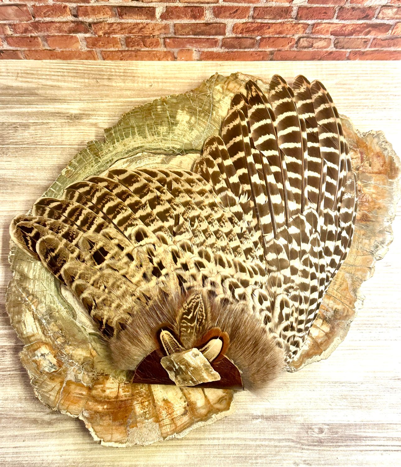 Aura, Pheasant Medicine Fan Aura, Pheasant Medicine Fan