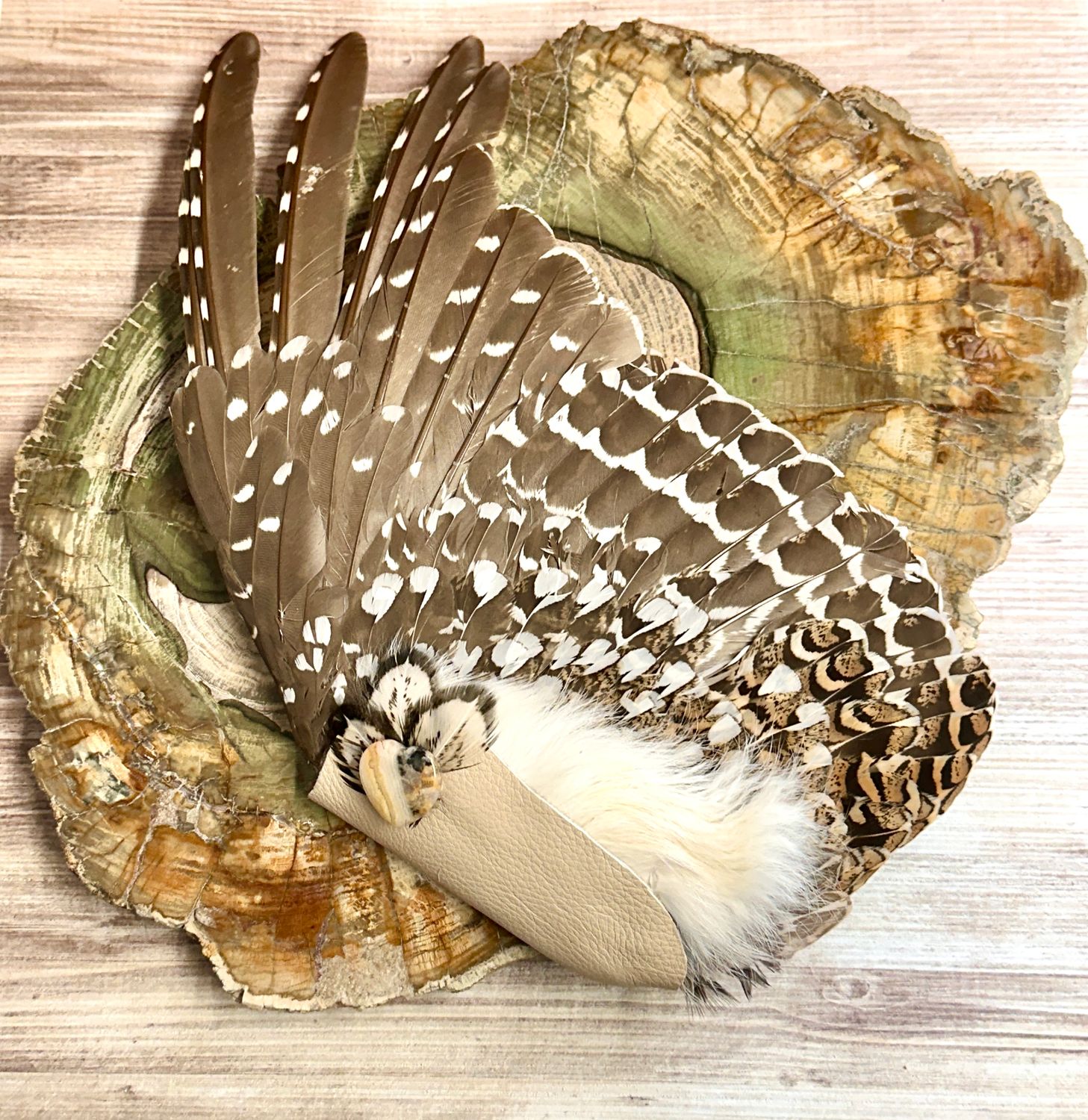 Foresight, Grouse Medicine Fan Foresight, Grouse Medicine Fan