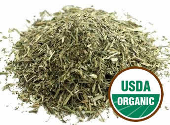 Blue Vervain (Organic)