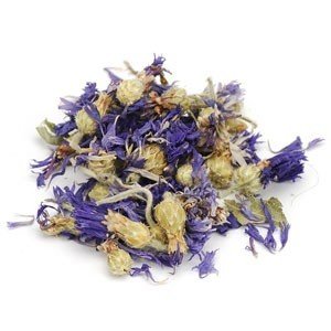 Cornflowers (Bachelor Button)