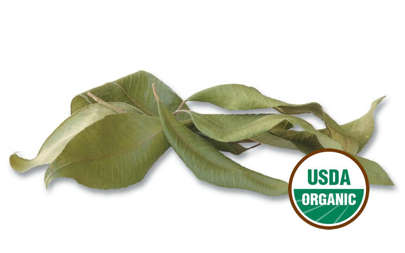 Myrtle Leaf (Organic)