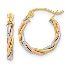 Tri-Color Hoop Earrings Q00425919