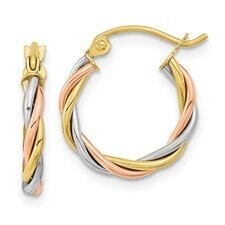 Tri-Color Hoop Earrings Q00425919