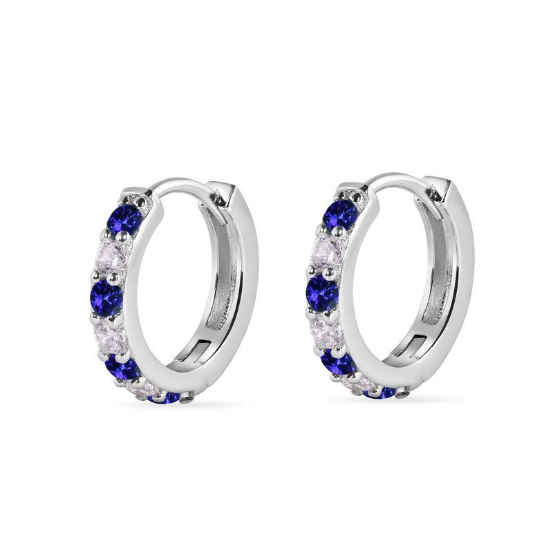 Sterling Hoop Earrings SIL6453933