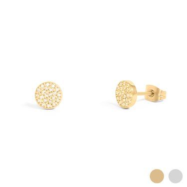 Stainless Earrings WJW804700