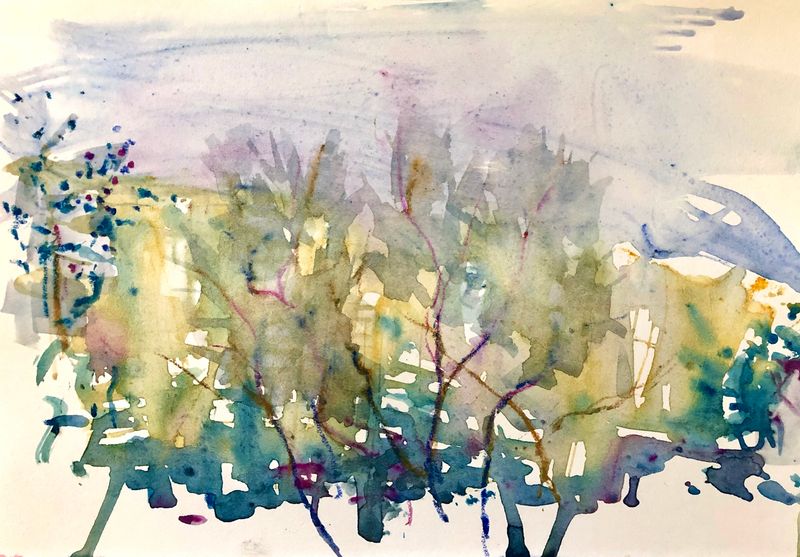 Watercolours