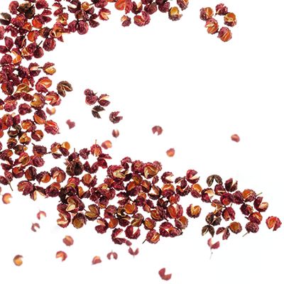 Baies Timut de France