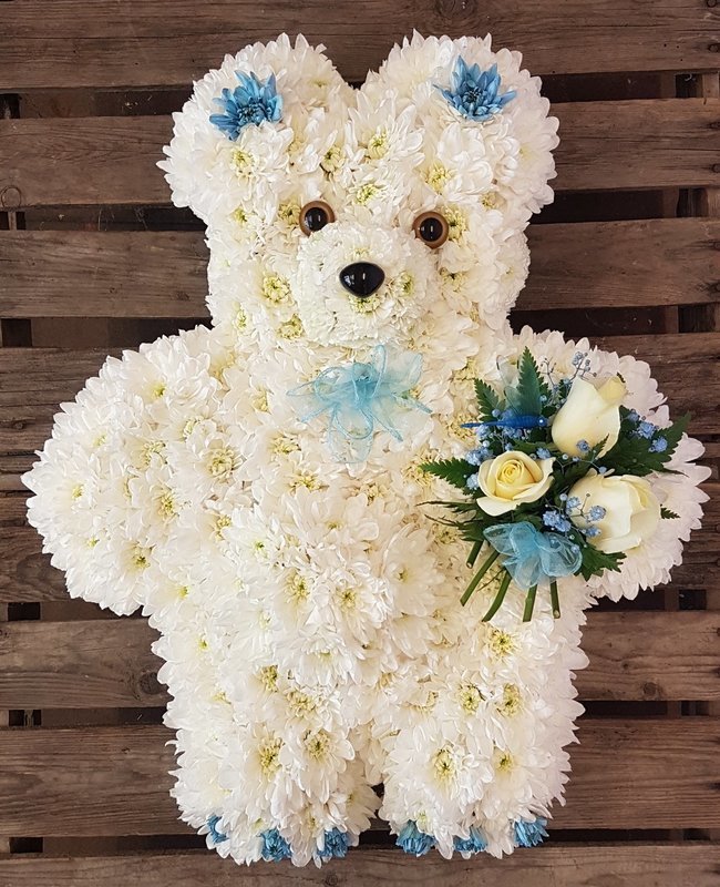Teddy