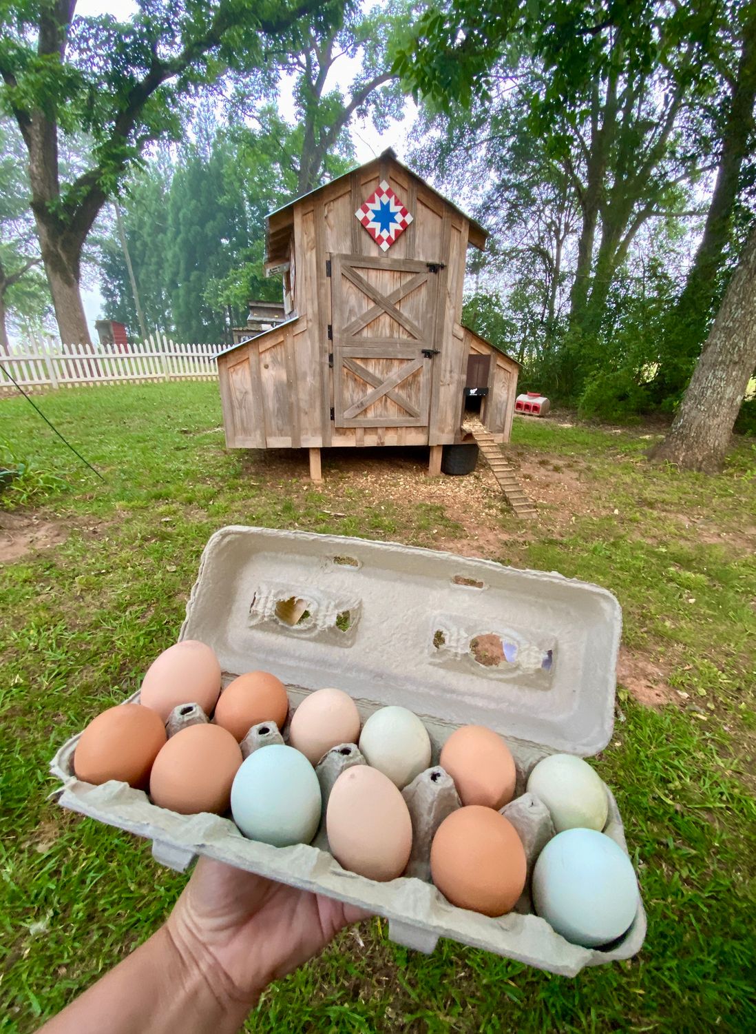 Eggs Farm Fresh Free Range - 1 Dozen