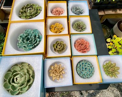 Porcelain Flowers