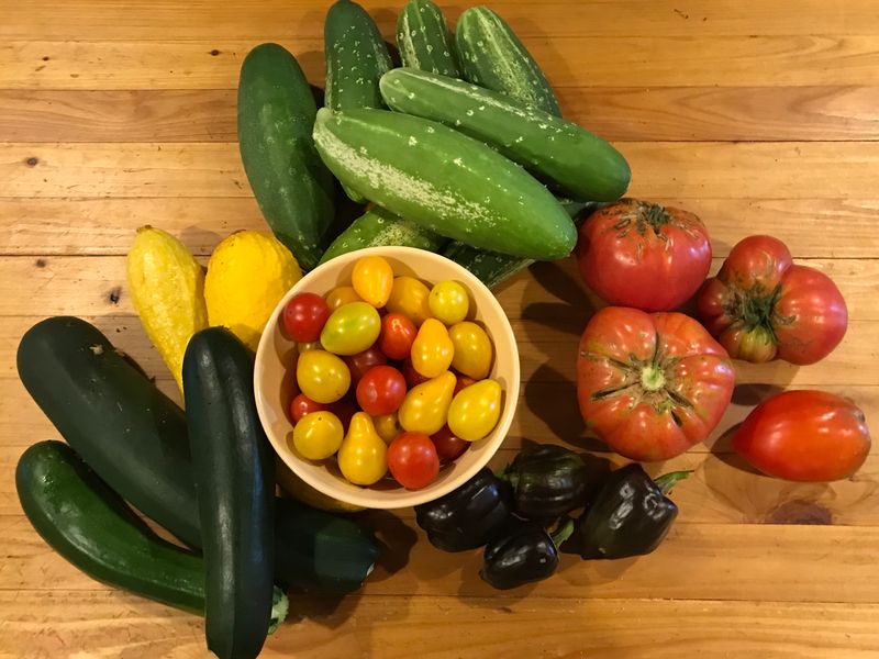 Zucchini Squash Fresh Organic Heirloom - 1 lb