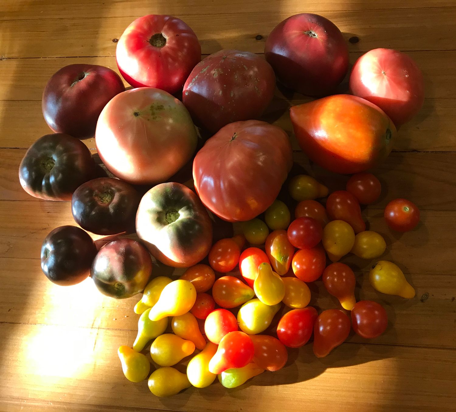 Tomatoes - Fresh Vine Ripe Organic Heirloom
