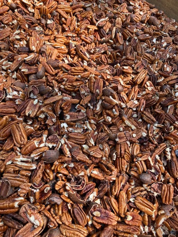 Pecan Cracking Service  - Crack and Blow