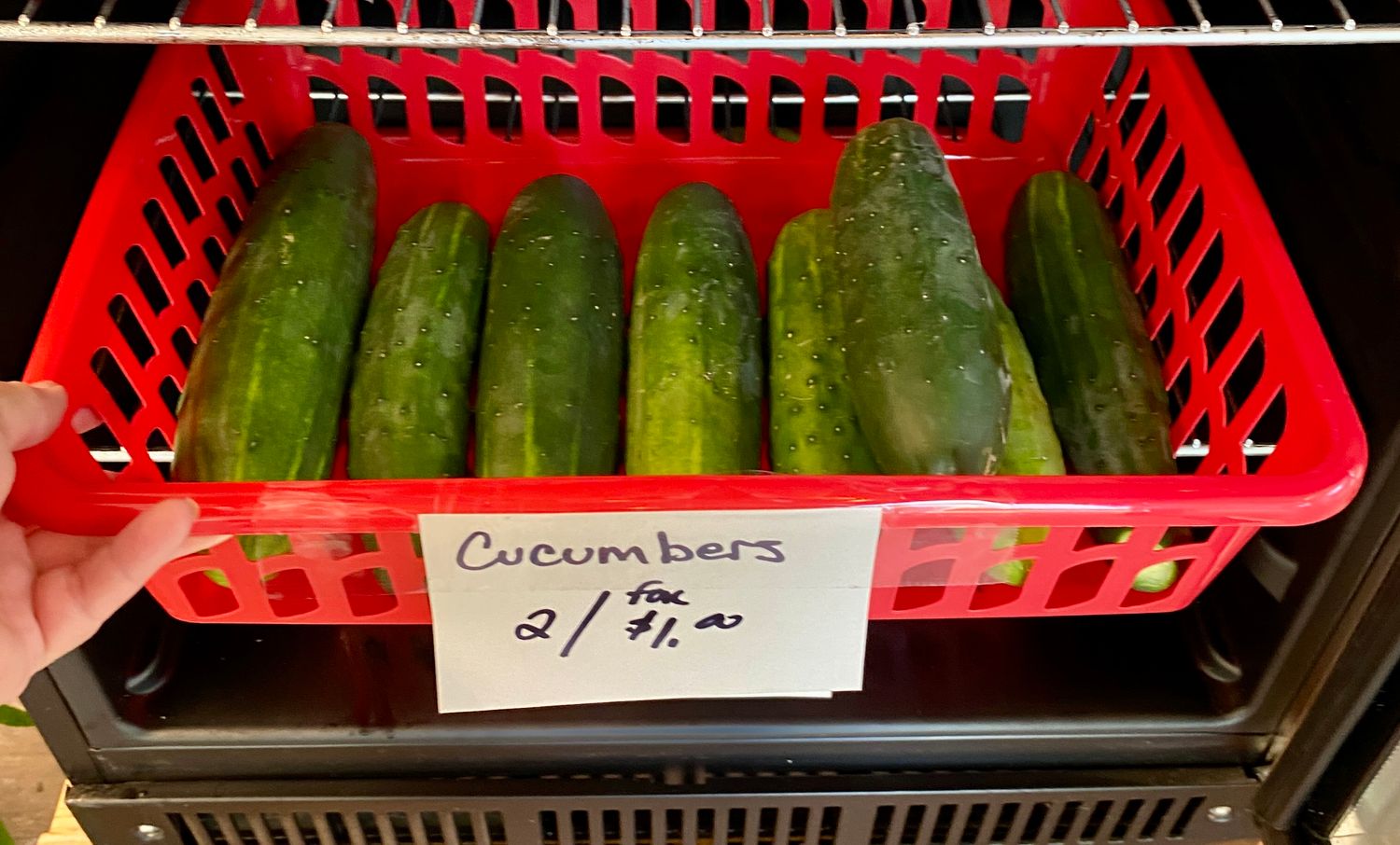 Cucumbers - Fresh Organic Heirloom 2/$1