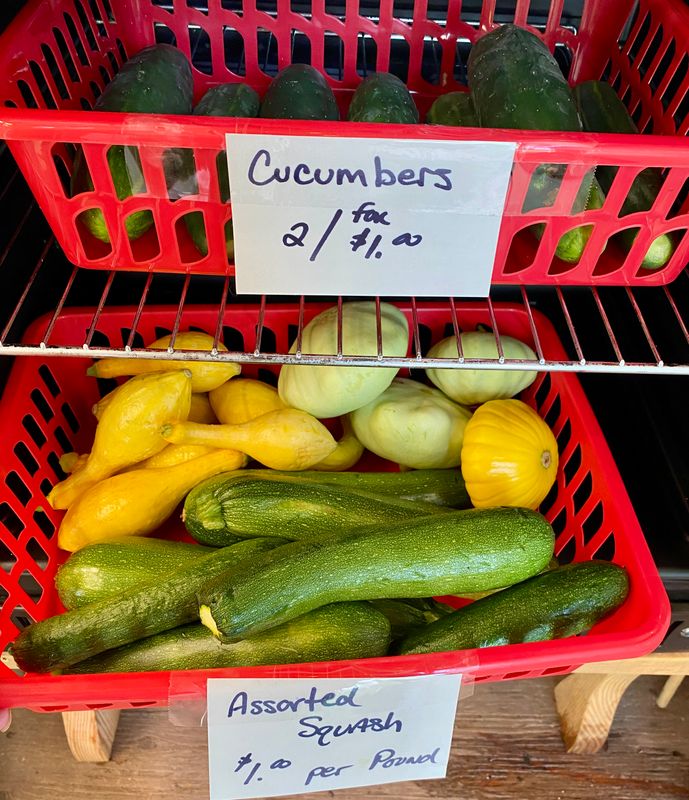 Squash Assorted Varieties - Mix or Match $1 per pound