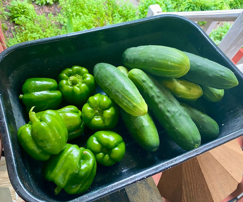 Bell Peppers Fresh Organic 2/$1