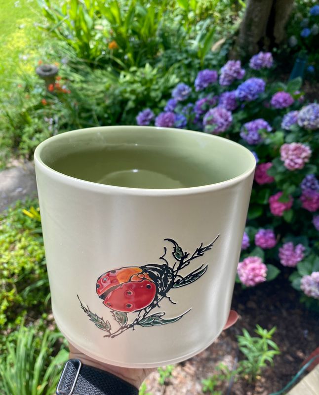 Garden Ladybug with Green Inside 6.5&quot; Planter