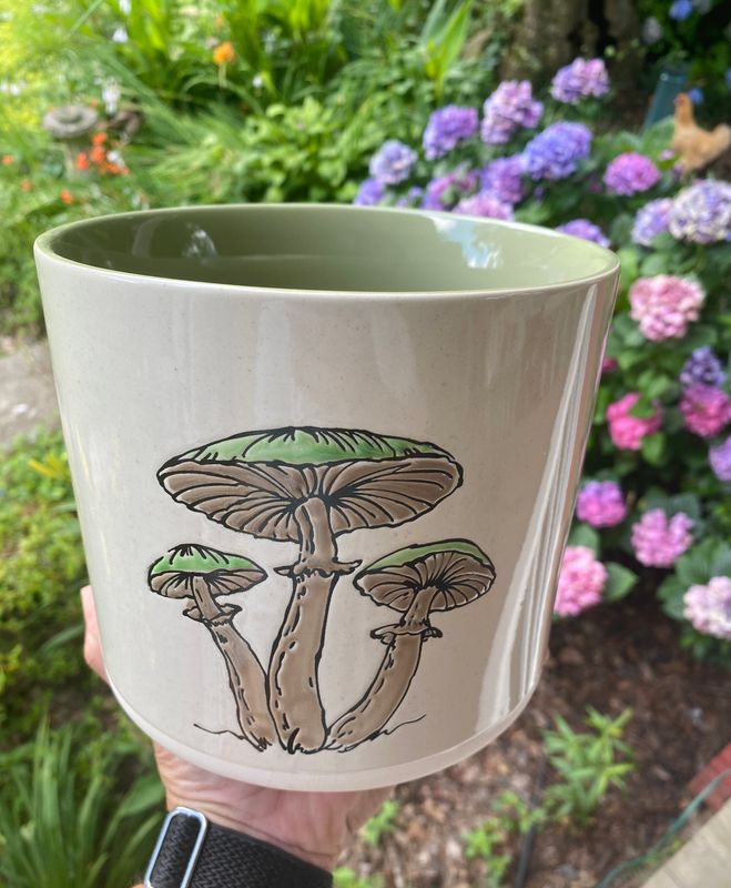 Mushroom with Green Interior 6.5&quot; Planter