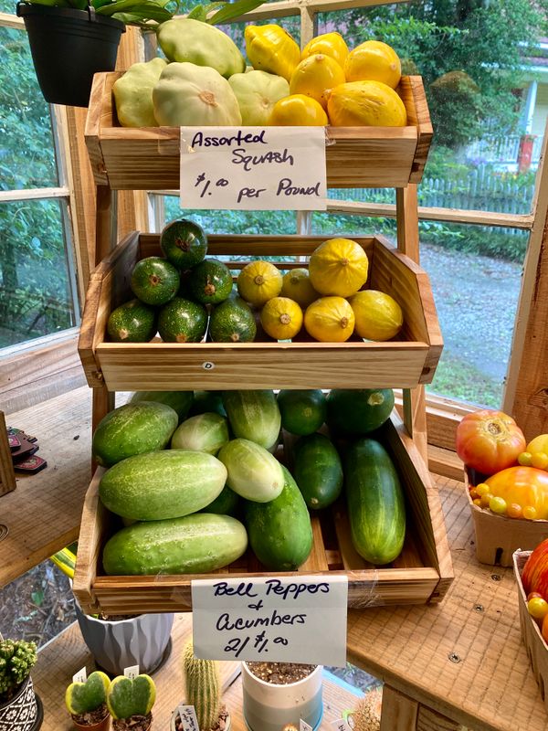 Squash Assorted Varieties - Mix or Match $1 per pound