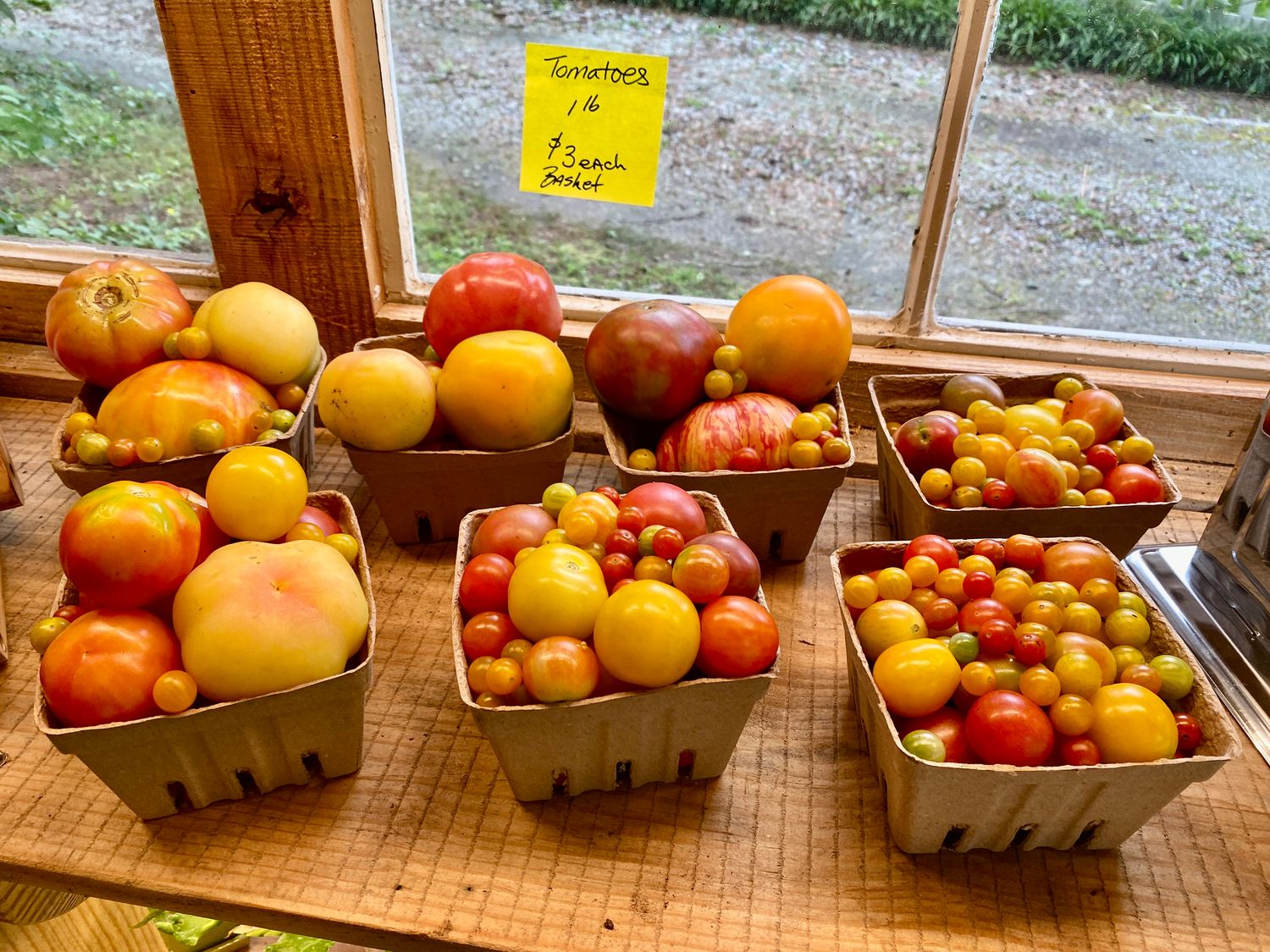 Tomato Snack Packs 16 oz - $3