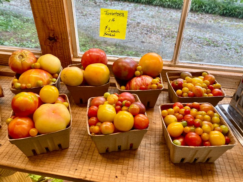 Tomato Baskets 16 oz - $3
